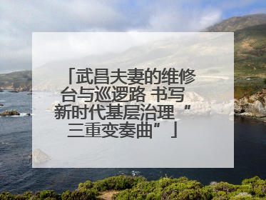 武昌夫妻的维修台与巡逻路 书写新时代基层治理“三重变奏曲”