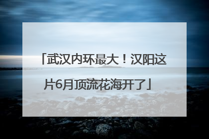 武汉内环最大！汉阳这片6月顶流花海开了