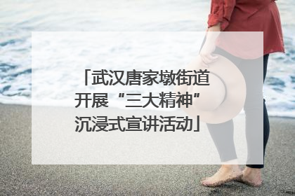 武汉唐家墩街道开展“三大精神”沉浸式宣讲活动