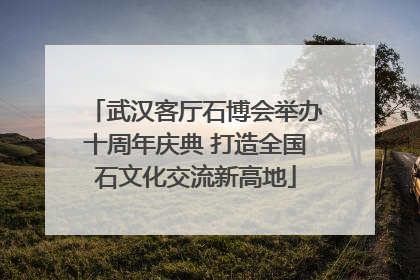 武汉客厅石博会举办十周年庆典 打造全国石文化交流新高地