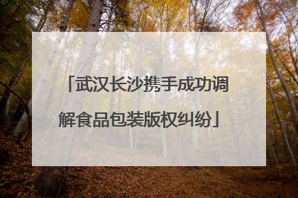 武汉长沙携手成功调解食品包装版权纠纷