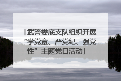 武警娄底支队组织开展“学党章、严党纪、强党性”主题党日活动