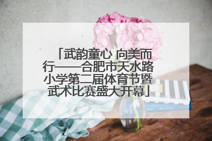 武韵童心 向美而行——合肥市天水路小学第二届体育节暨武术比赛盛大开幕