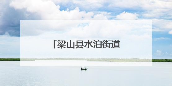 梁山县水泊街道秀水社区开展防汛应急演练活动