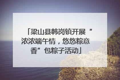 梁山县韩岗镇开展“浓浓端午情，悠悠粽意香”包粽子活动