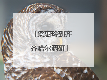 梁惠玲到齐齐哈尔调研