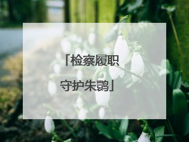 检察履职 守护朱鹮
