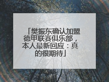 樊振东确认加盟德甲联赛俱乐部，本人最新回应：真的很期待