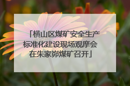 横山区煤矿安全生产标准化建设现场观摩会在朱家峁煤矿召开