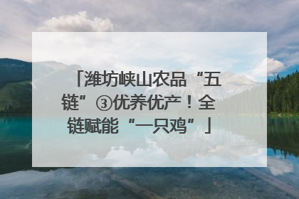 潍坊峡山农品“五链”③优养优产！全链赋能“一只鸡”