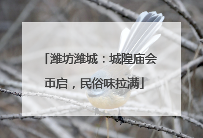 潍坊潍城：城隍庙会重启，民俗味拉满