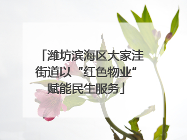 潍坊滨海区大家洼街道以“红色物业”赋能民生服务