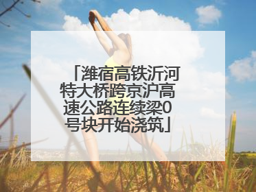潍宿高铁沂河特大桥跨京沪高速公路连续梁0号块开始浇筑