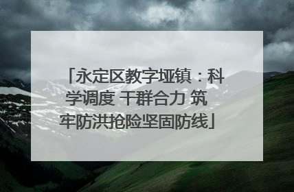 永定区教字垭镇：科学调度 干群合力 筑牢防洪抢险坚固防线