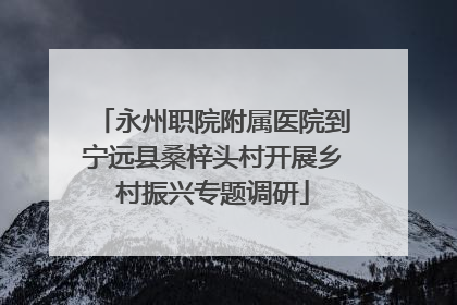 永州职院附属医院到宁远县桑梓头村开展乡村振兴专题调研