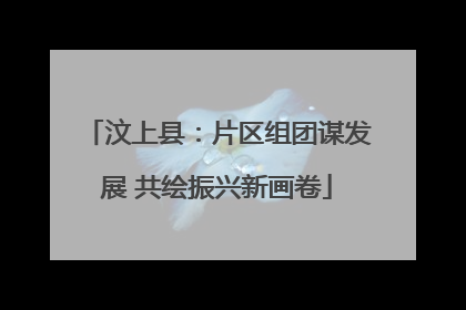 汶上县：片区组团谋发展 共绘振兴新画卷