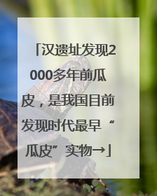 汉遗址发现2000多年前瓜皮，是我国目前发现时代最早“瓜皮”实物→