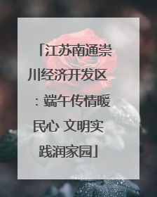 江苏南通崇川经济开发区：端午传情暖民心 文明实践润家园
