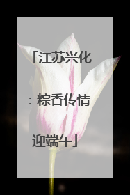 江苏兴化：粽香传情迎端午
