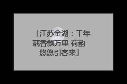 江苏金湖：千年藕香飘万里 荷韵悠悠引客来