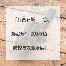 江西石城：“放蜂治蚜”助力绿色防控与农业发展