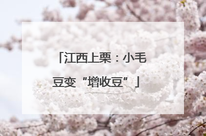 江西上栗：小毛豆变“增收豆”