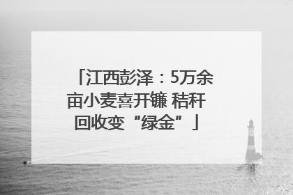 江西彭泽：5万余亩小麦喜开镰 秸秆回收变“绿金”