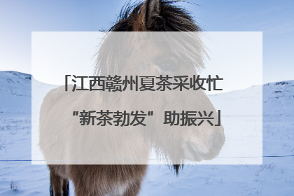 江西赣州夏茶采收忙 “新茶勃发”助振兴