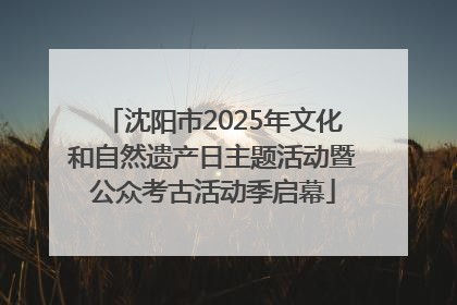 沈阳市2025年文化和自然遗产日主题活动暨公众考古活动季启幕