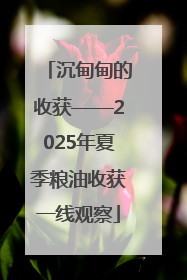沉甸甸的收获——2025年夏季粮油收获一线观察