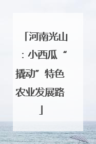 河南光山：小西瓜“撬动”特色农业发展路