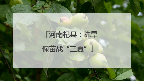 河南杞县：抗旱保苗战“三夏”