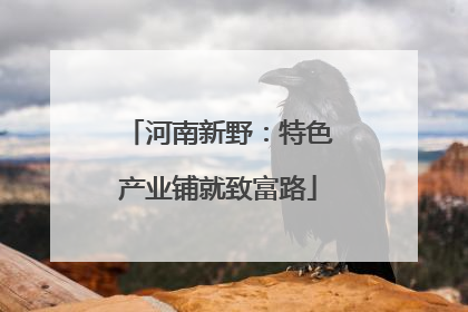 河南新野：特色产业铺就致富路