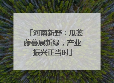 河南新野：瓜蒌藤蔓展新绿，产业振兴正当时