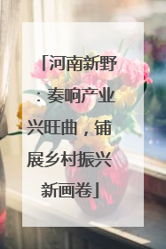 河南新野：奏响产业兴旺曲，铺展乡村振兴新画卷