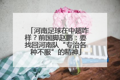 河南足球在中超咋样？前国脚赵鹏：要找回河南队“专治各种不服”的精神