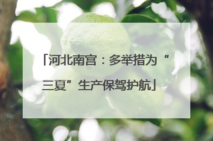 河北南宫：多举措为“三夏”生产保驾护航