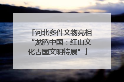 河北多件文物亮相“龙腾中国：红山文化古国文明特展”