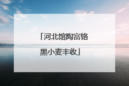 河北馆陶富铬黑小麦丰收