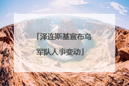 泽连斯基宣布乌军队人事变动