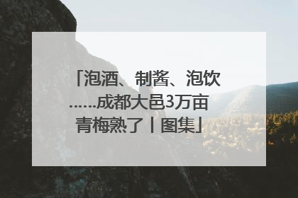 泡酒、制酱、泡饮……成都大邑3万亩青梅熟了丨图集