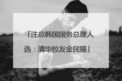 注意韩国国务总理人选：清华校友金民锡