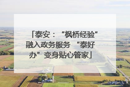 泰安：“枫桥经验”融入政务服务 “泰好办”变身贴心管家