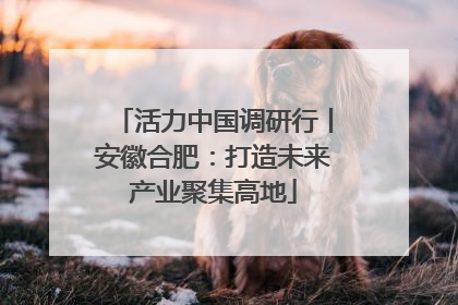 活力中国调研行丨安徽合肥：打造未来产业聚集高地