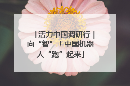 活力中国调研行｜向“智”！中国机器人“跑”起来