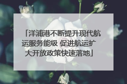 洋浦港不断提升现代航运服务能级 促进航运扩大开放政策快速落地
