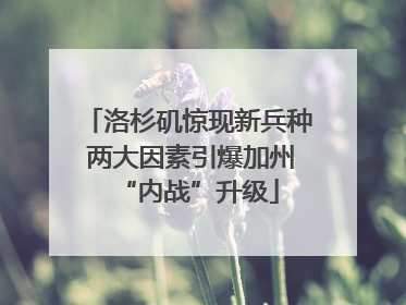 洛杉矶惊现新兵种 两大因素引爆加州“内战”升级