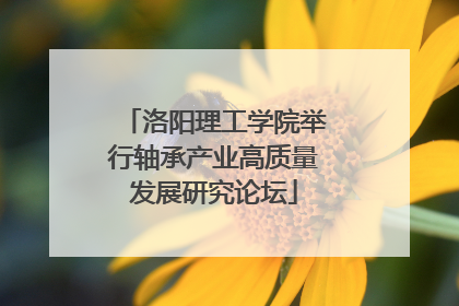 洛阳理工学院举行轴承产业高质量发展研究论坛