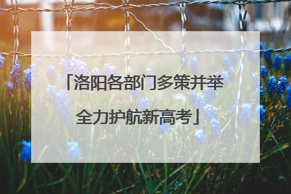 洛阳各部门多策并举 全力护航新高考