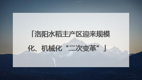 洛阳水稻主产区迎来规模化、机械化“二次变革”